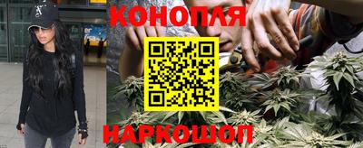 твердый Лесосибирск